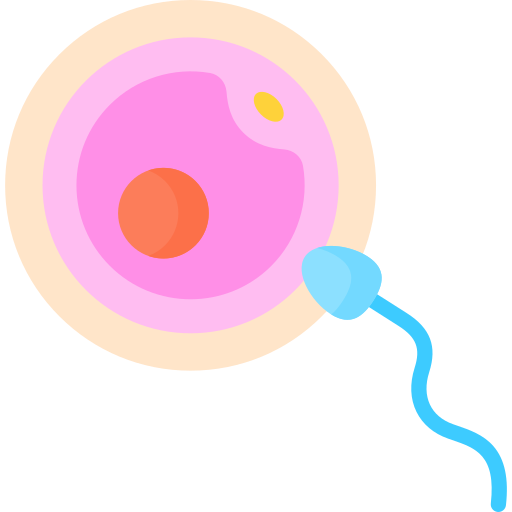 Fertility Support