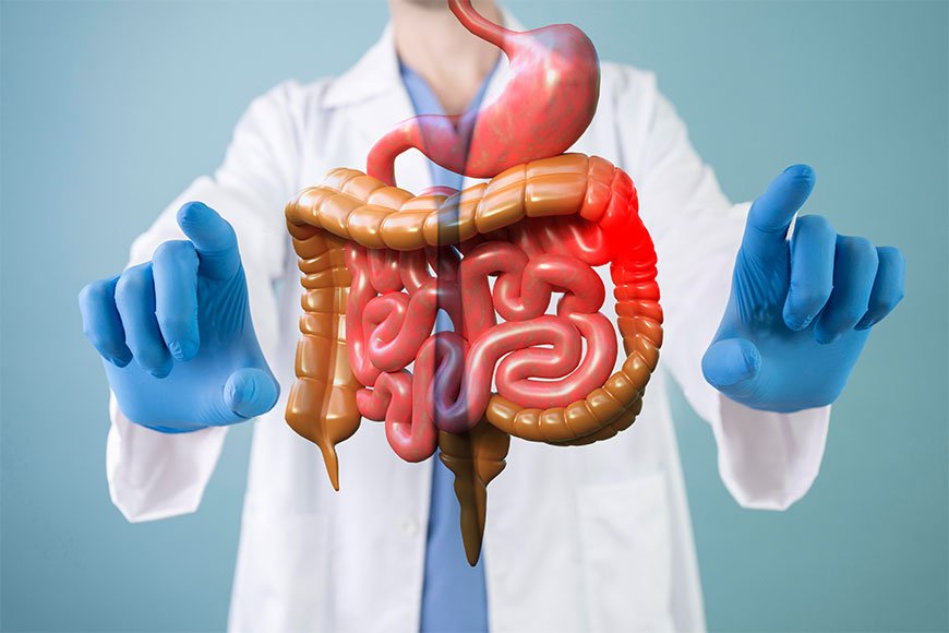 internal vs general medicine