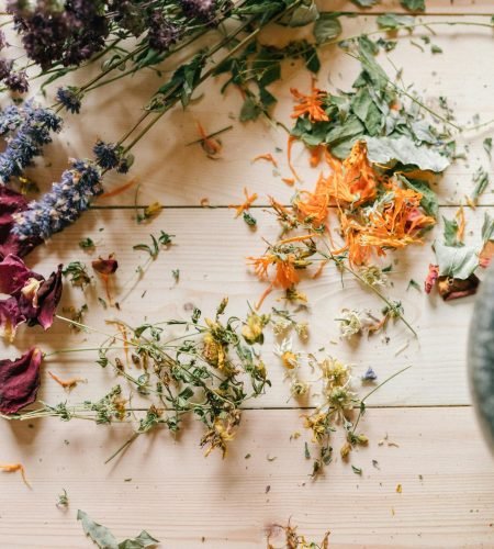 Homeopathy at House of Nature Medical Center in Abu Dhabi